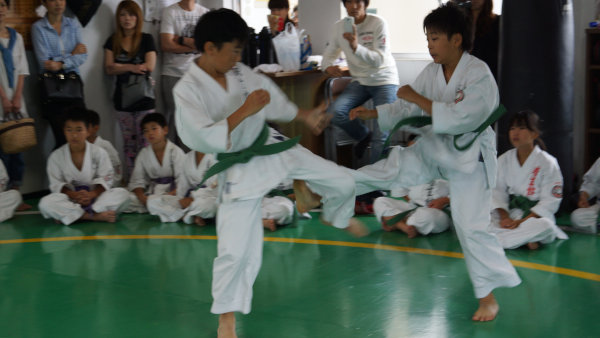 smi3 (120).jpg